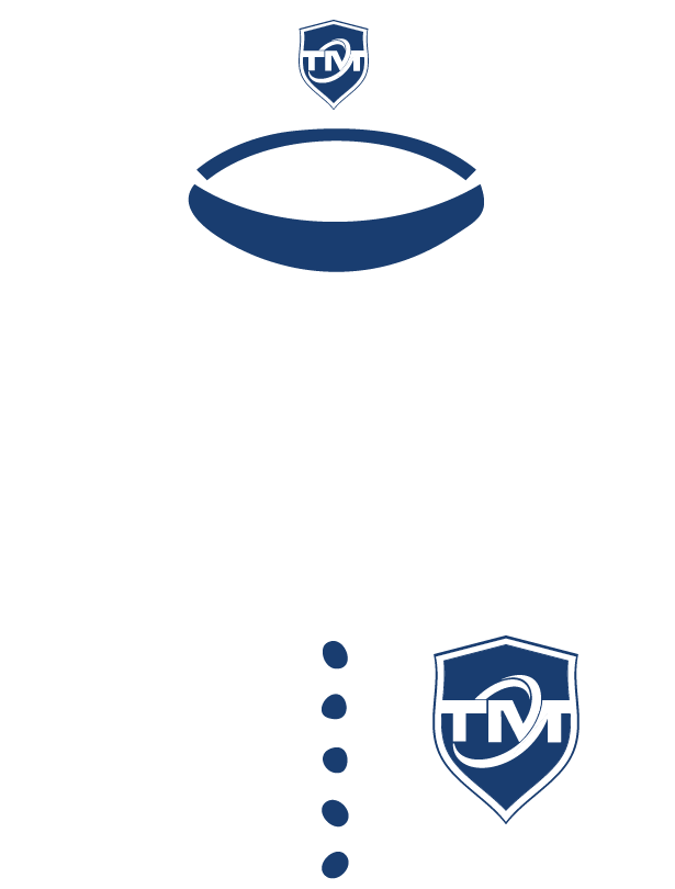 Icono empleo TMT Security